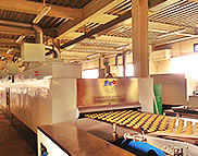 Línea de producción de galletas dulces y saladas