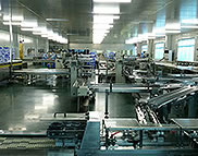 Línea de producción de galletas pequeña